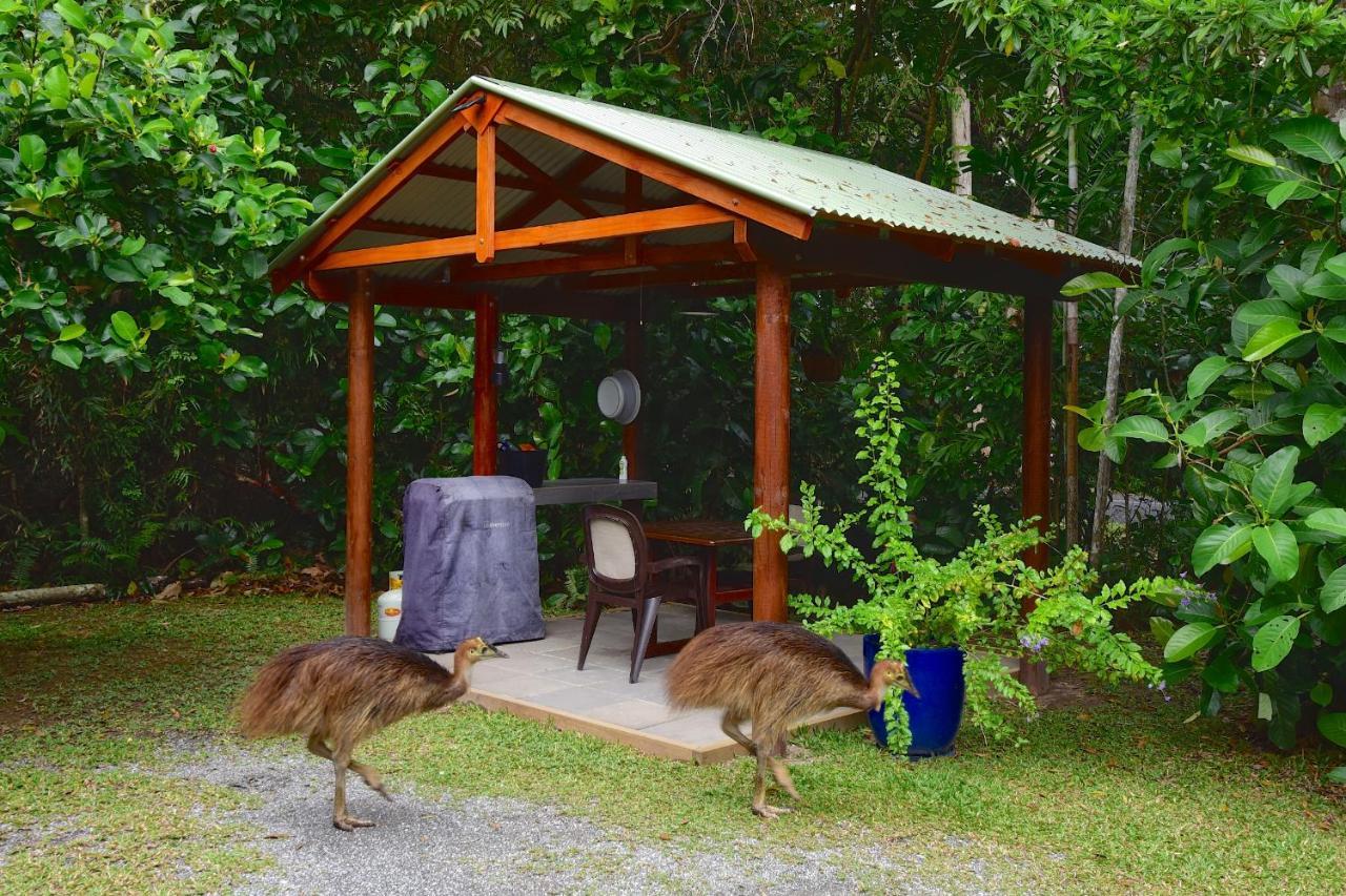 Thornton Beach Bungalows Daintree Cape Tribulation Dış mekan fotoğraf