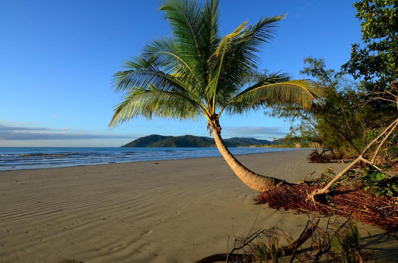 Thornton Beach Bungalows Daintree Cape Tribulation Dış mekan fotoğraf